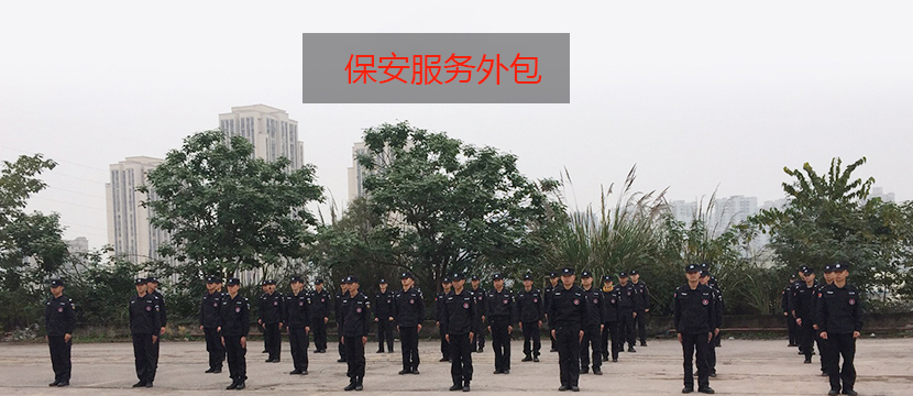 在中国人力资源日皮在线观看成为了主流的选择